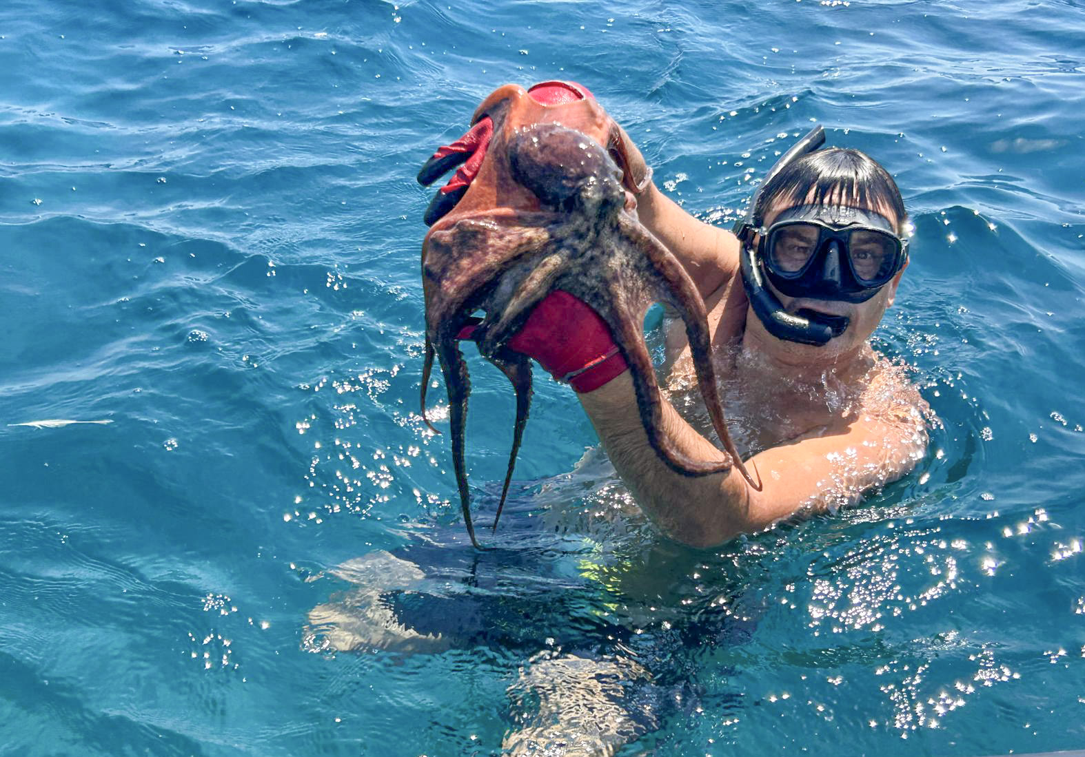Skipper and spearfisherman Damir surfacing with an octopus